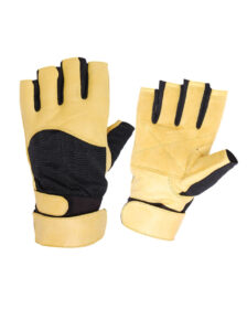 Weight Lifting Gloves